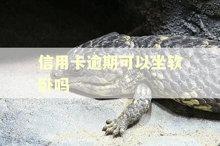 信用卡逾期可以坐软卧吗