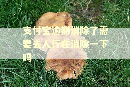 支付宝逾期消除了需要去人行在消除一下吗