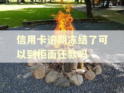 信用卡逾期冻结了可以到柜面还款吗 信用卡逾期冻结了可以到柜面还款吗