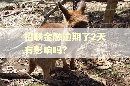 招联金融逾期了2天有影响吗?