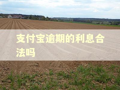 支付宝逾期的利息合法吗