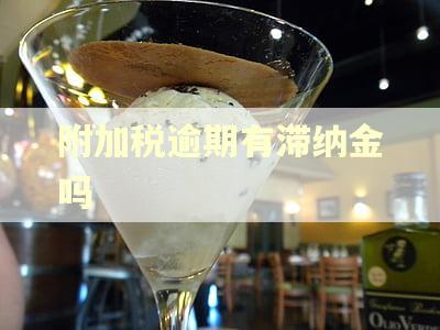 附加税逾期有滞纳金吗 附加税逾期有滞纳金吗