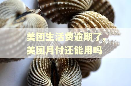 美团生活费逾期了,美团月付还能用吗