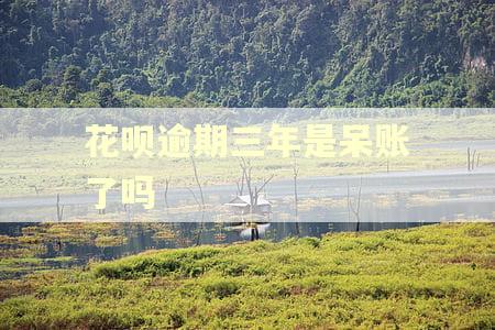 花呗逾期三年是呆账了吗
