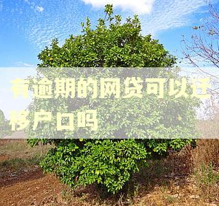 有逾期的网贷可以迁移户口吗