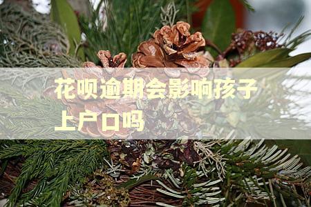 花呗逾期会影响孩子上户口吗 花呗逾期会影响孩子上户口吗
