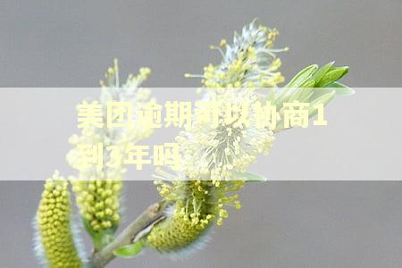 美团逾期可以协商1到3年吗