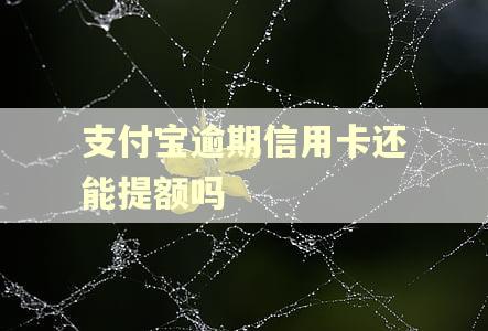 支付宝逾期信用卡还能提额吗