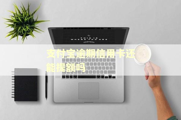 支付宝逾期信用卡还能提额吗