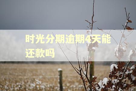 时光分期逾期4天能还款吗