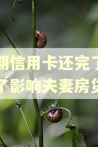 逾期信用卡还完了销户了影响夫妻房贷吗 逾期信用卡还完了销户了影响夫妻房贷吗