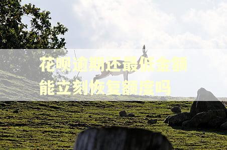 花呗逾期还最低金额能立刻恢复额度吗