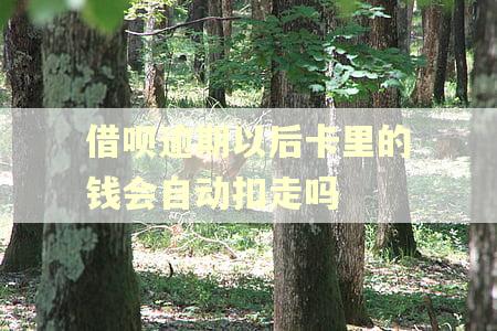 借呗逾期以后卡里的钱会自动扣走吗 借呗逾期以后卡里的钱会自动扣走吗