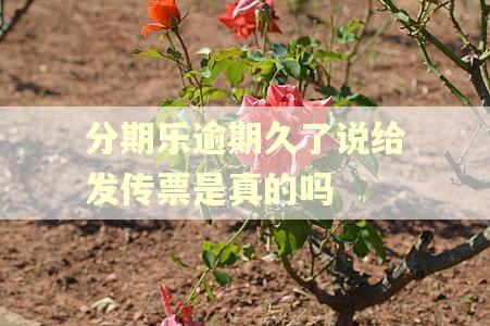 分期乐逾期久了说给发传票是真的吗