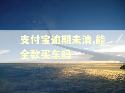 支付宝逾期未清,能全款买车吗