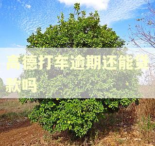 高德打车逾期还能贷款吗
