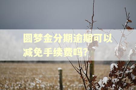 圆梦金分期逾期可以减免手续费吗?