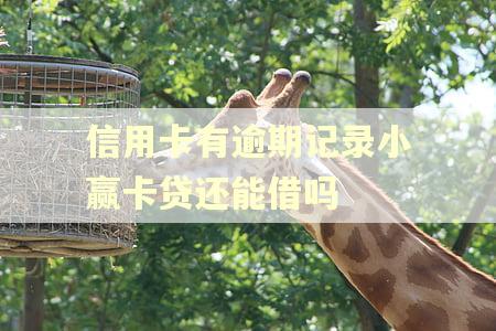 信用卡有逾期记录小赢卡贷还能借吗