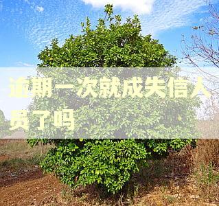 逾期一次就成失信人员了吗
