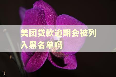 美团贷款逾期会被列入黑名单吗
