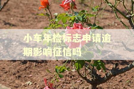 小车年检标志申请逾期影响征信吗