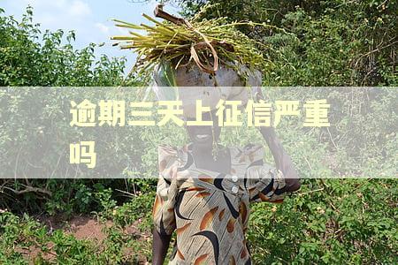 逾期三天上征信严重吗