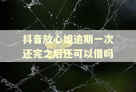 抖音放心姐逾期一次还完之后还可以借吗