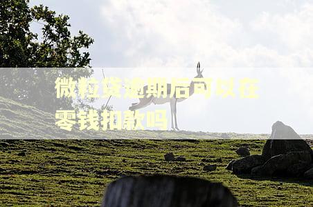 微粒贷逾期后可以在零钱扣款吗