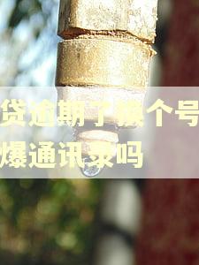 网贷逾期了换个号码会爆通讯录吗