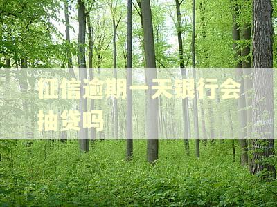 征信逾期一天银行会抽贷吗