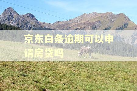 京东白条逾期可以申请房贷吗