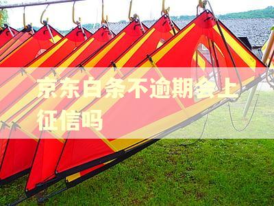 京东白条不逾期会上征信吗