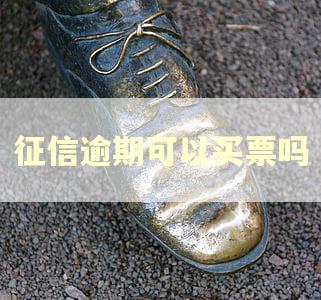 征信逾期可以买票吗