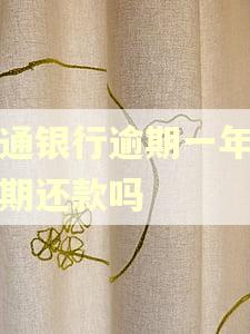 交通银行逾期一年能分期还款吗 交通银行逾期一年能分期还款吗