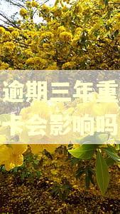 花呗逾期三年重新办银行卡会影响吗
