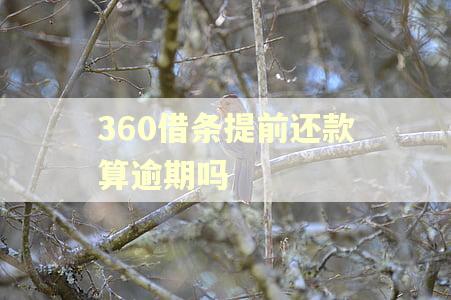 360借条提前还款算逾期吗