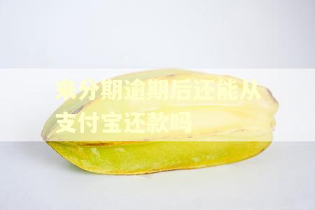 来分期逾期后还能从支付宝还款吗