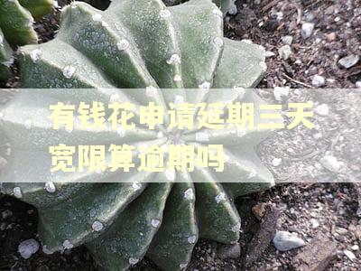有钱花申请延期三天宽限算逾期吗