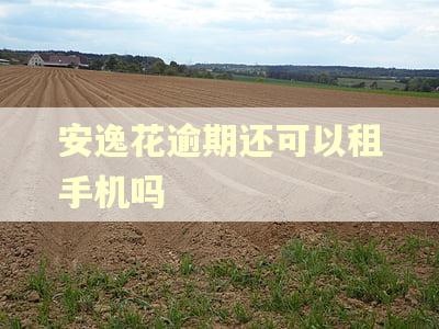 安逸花逾期还可以租手机吗