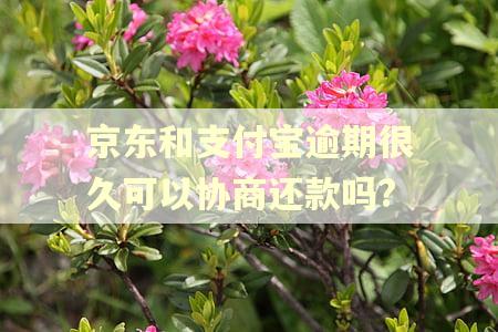 京东和支付宝逾期很久可以协商还款吗?