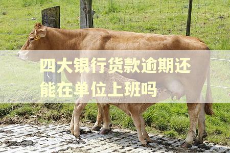 四大银行货款逾期还能在单位上班吗