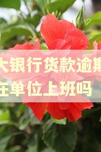 四大银行货款逾期还能在单位上班吗