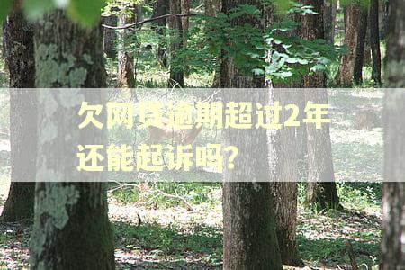 欠网贷逾期超过2年还能起诉吗？