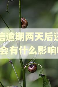 捷信逾期两天后还上的,会有什么影响吗