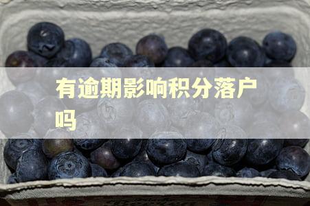 有逾期影响积分落户吗