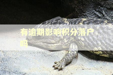 有逾期影响积分落户吗