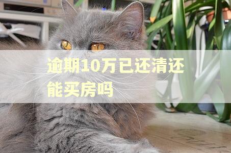 逾期10万已还清还能买房吗