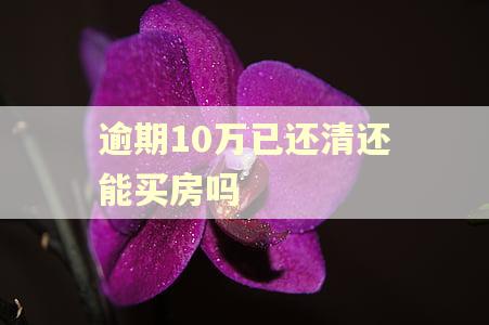 逾期10万已还清还能买房吗
