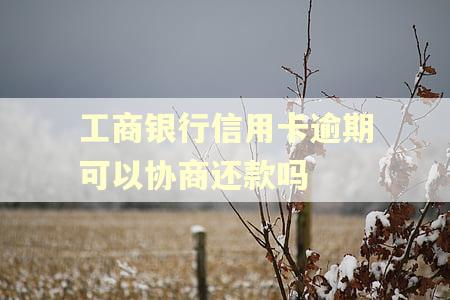 工商银行信用卡逾期可以协商还款吗
