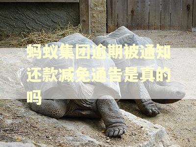 蚂蚁集团逾期被通知还款减免通告是真的吗